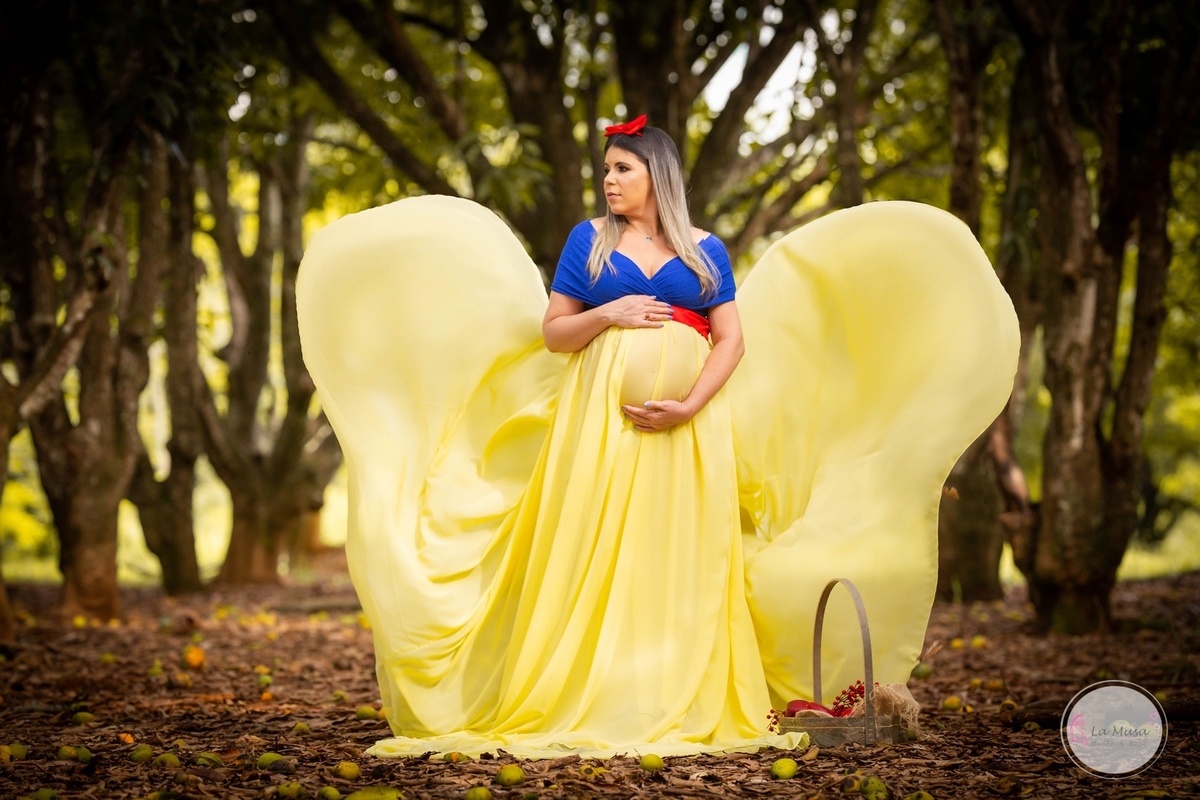 Gestante, Branca de neve Gestante, figurinos especiais gestante, Mamãe cinderela , ensaio gestante brasilia