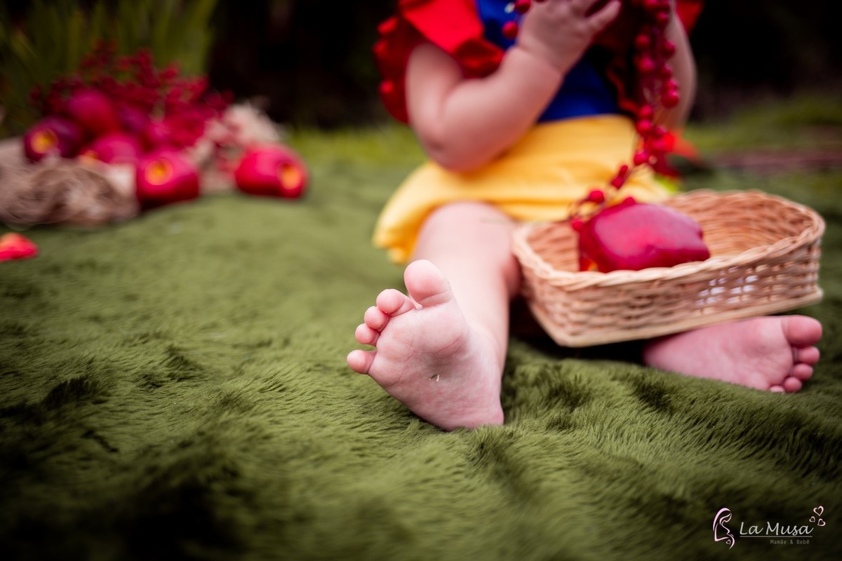 Smash the cake Branca de neve, Ensaio de 1 ano , Ensaio Branca de Neve, Ensaio New garden, Ensaio familia  
