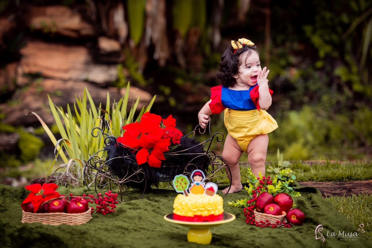 Smash the cake Branca de neve, Ensaio de 1 ano , Ensaio Branca de Neve, Ensaio New garden, Ensaio familia  