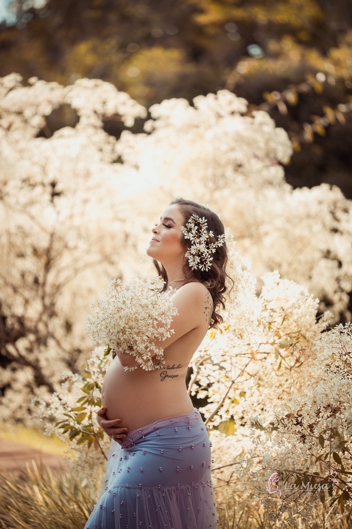 Ensaio Gestante Brasilia, solar dos novaes, Foto Gravida, Raquel Lacerda, Fotografa Gestante