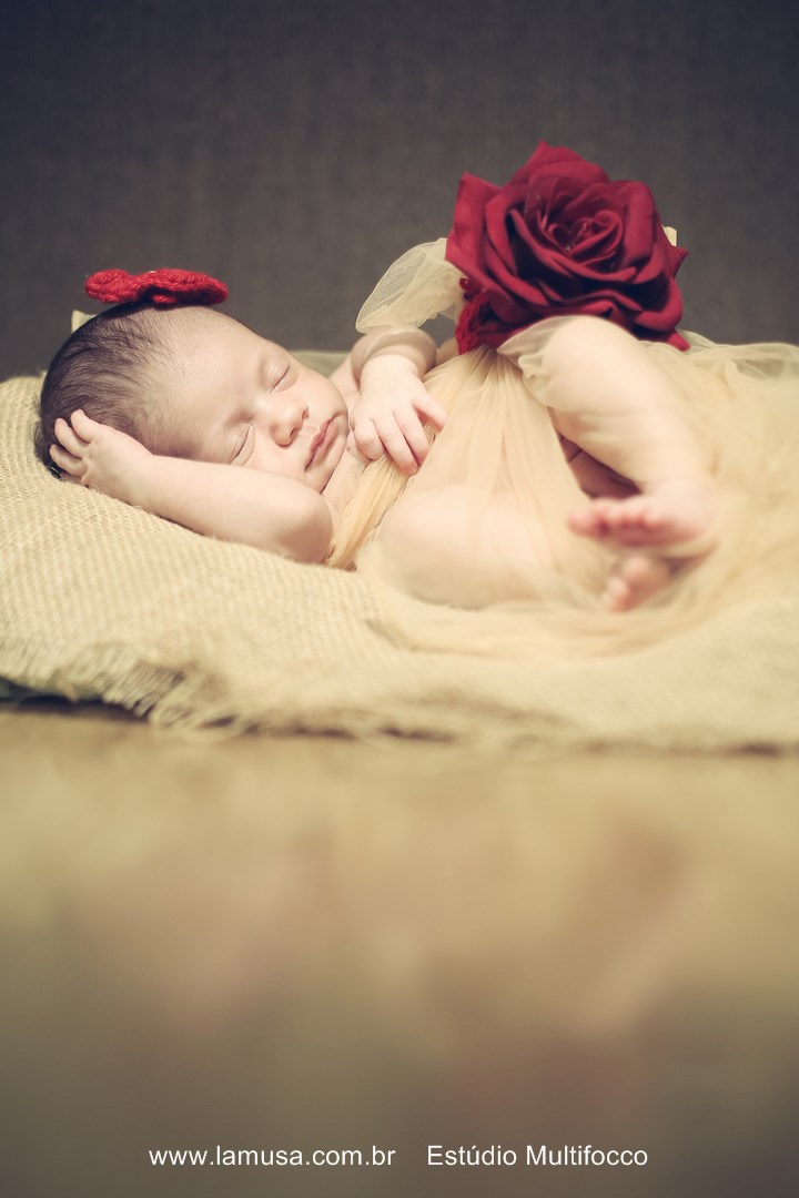 Maria Flor NewBorn-fotos recém-nascido-bebê lindo-mamãe e bebe-fotos de bebês-LaMusa-Família Multifocco-df