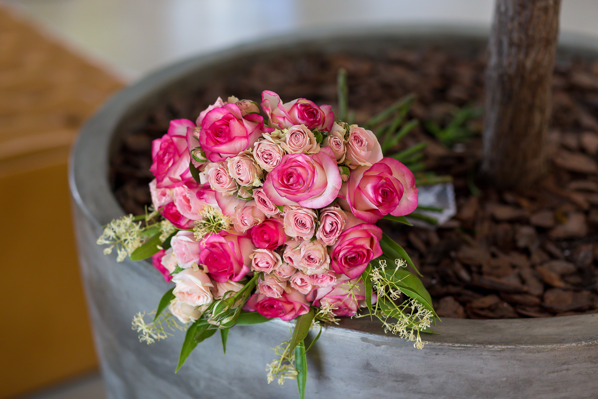 Fotografo em Rio Grande