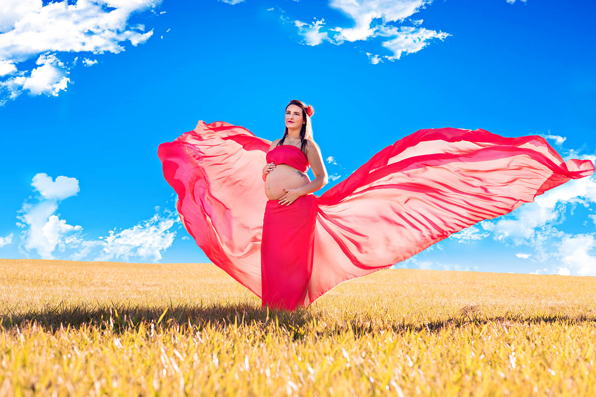 book gestante santiago rs