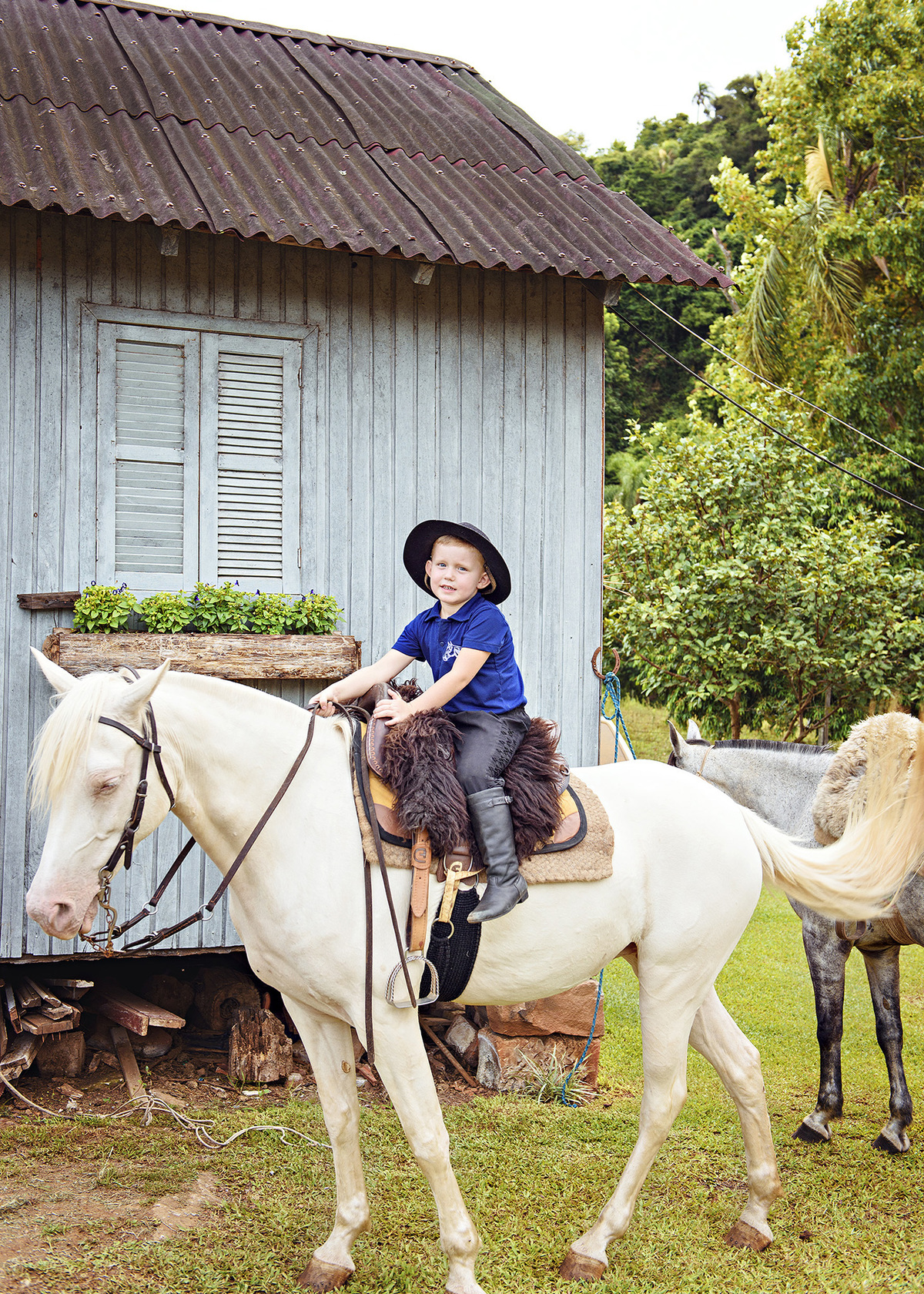 ensaio de criança com cavalos