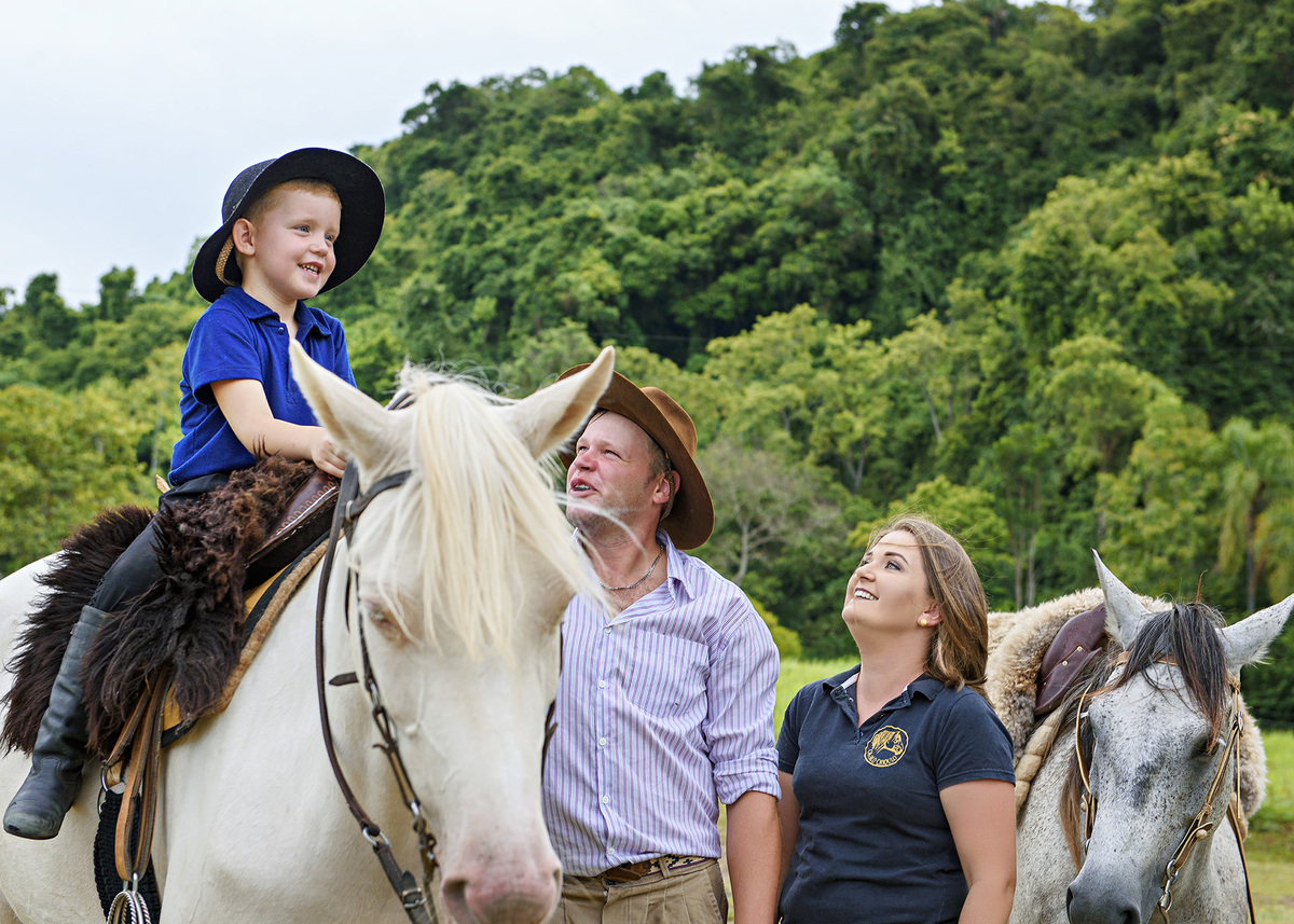 book infantil com cavalaos