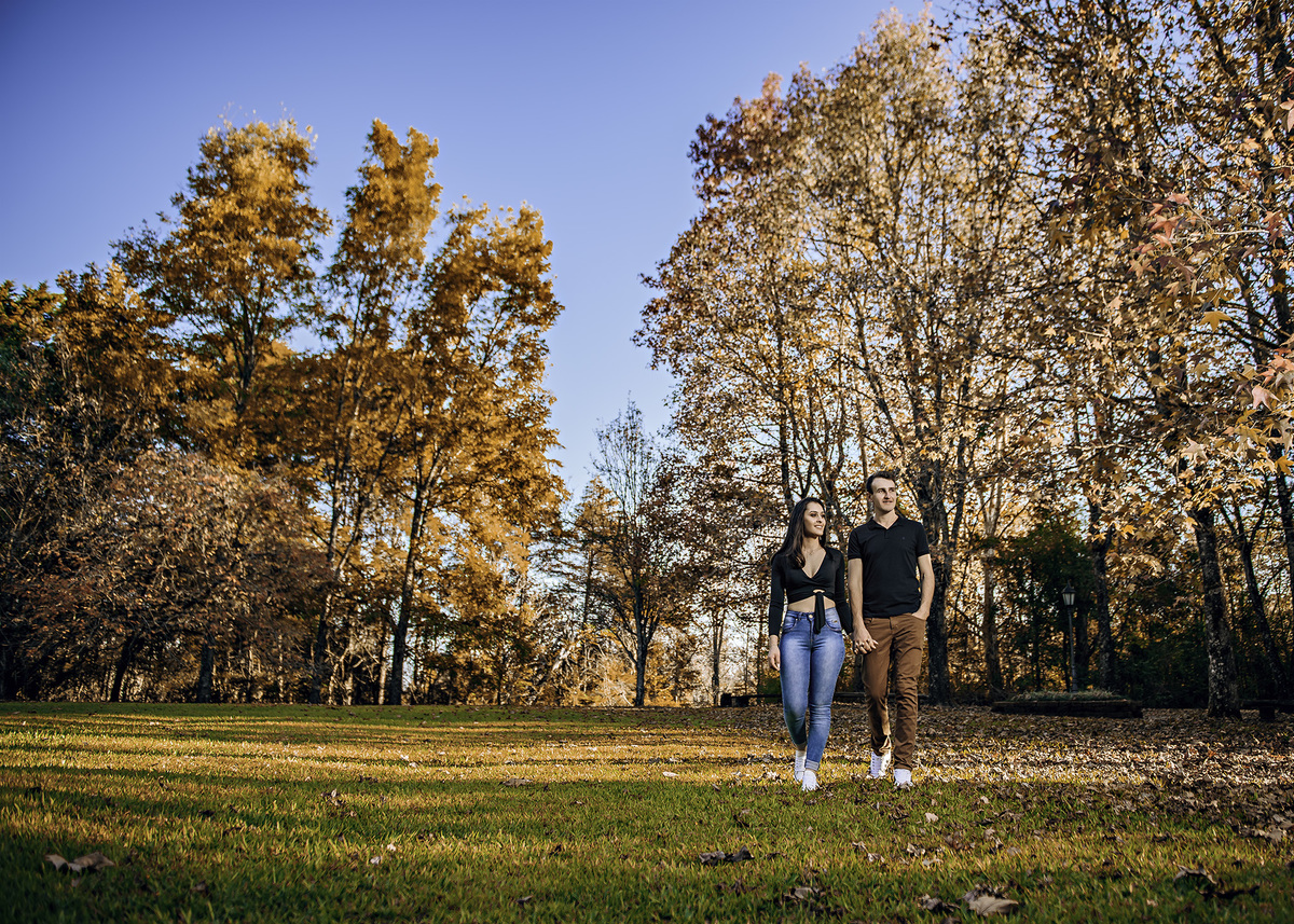 fotos no parque witeck