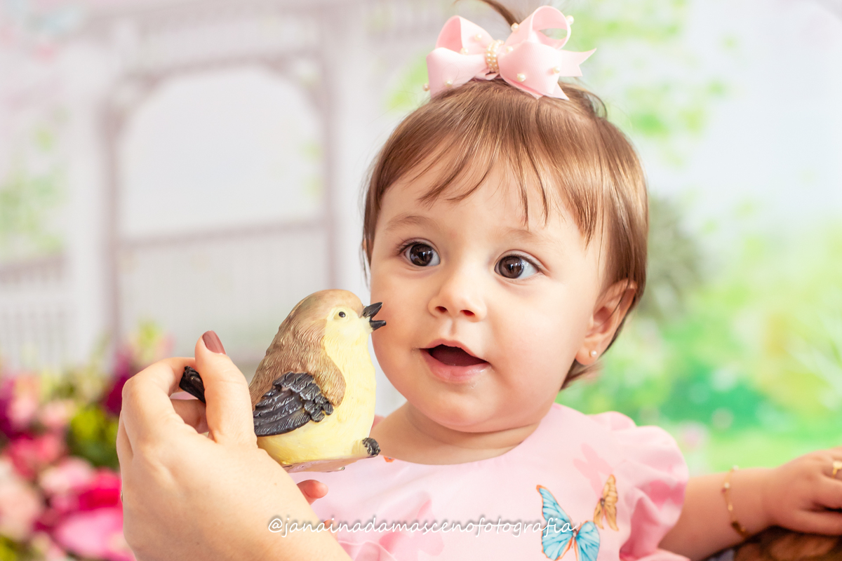 fotografia de festa infantil