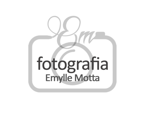 Logotipo de Emylle Luiza Silva Motta