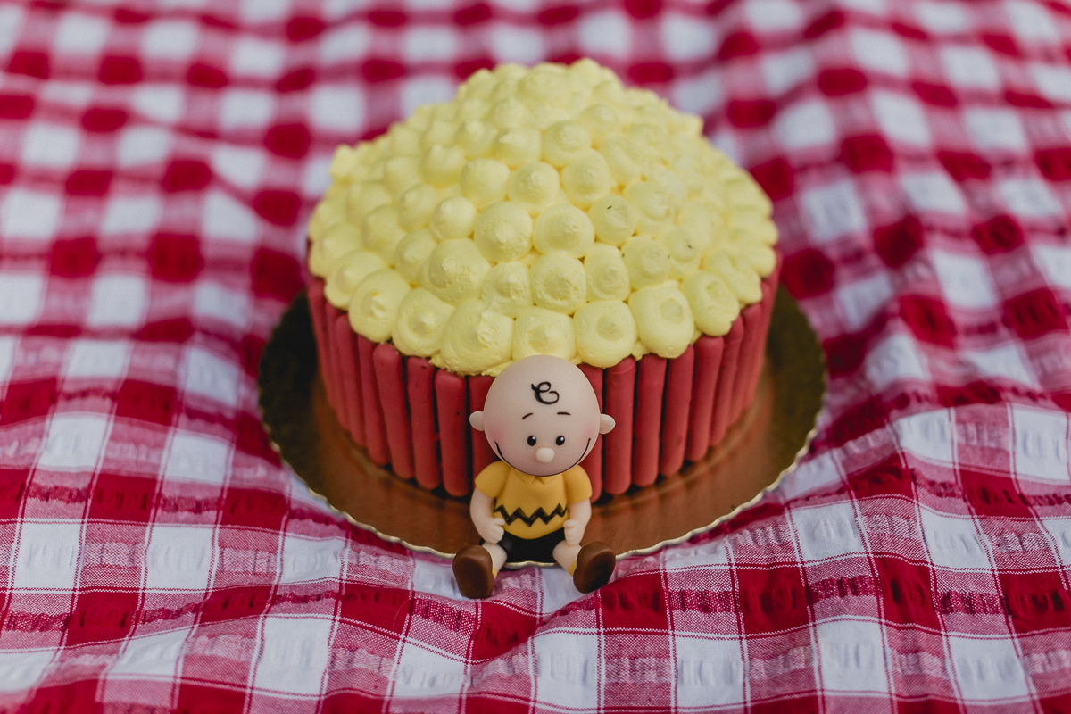 bolo do snopp no ensaio smash the cake