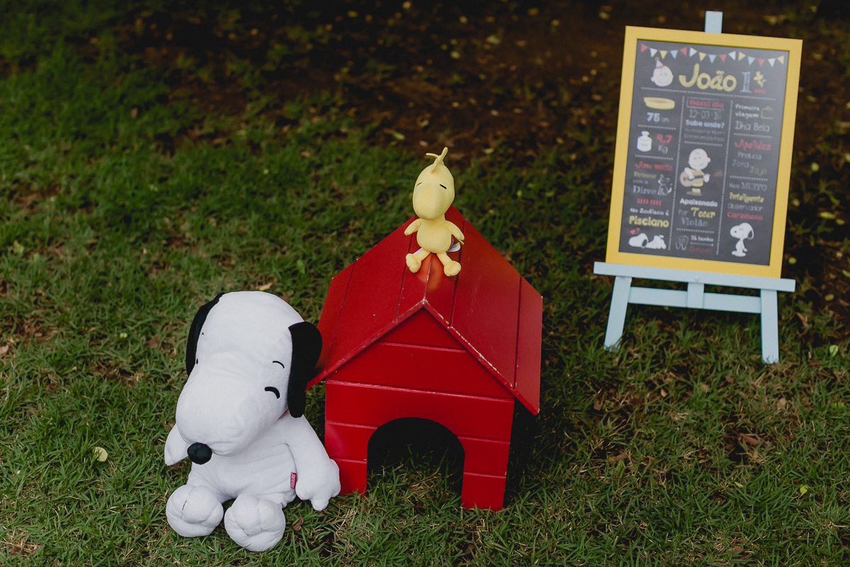 snopp,woodstock e a casinha