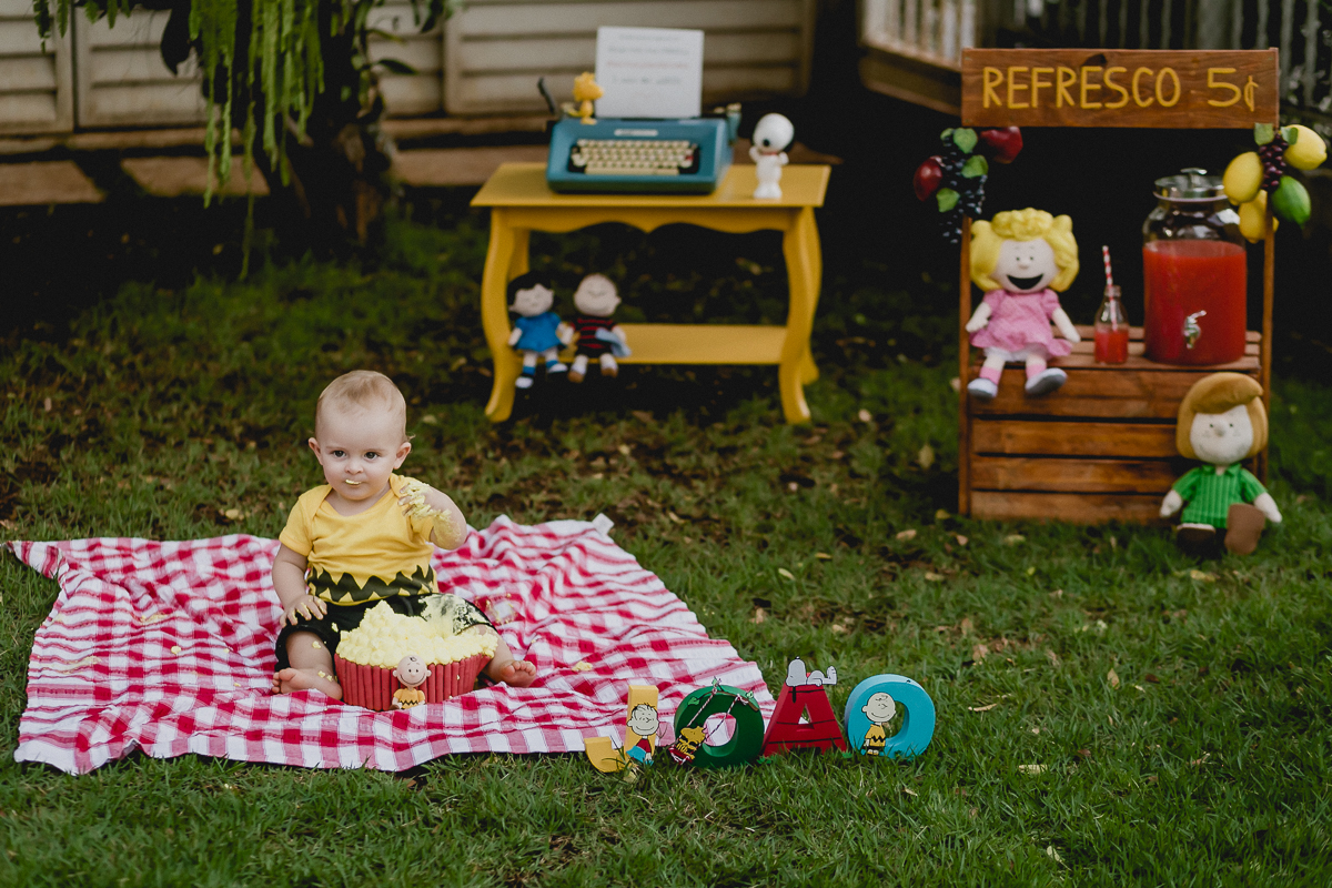 joao se divertindo no ensaio smash the cake com o tema snopp