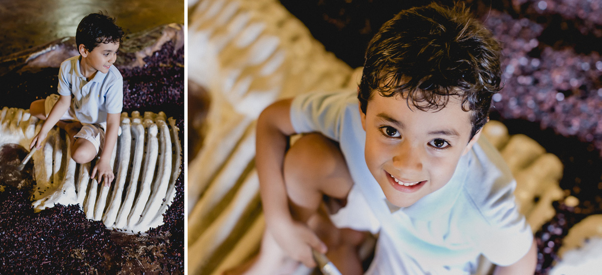 brincando de desenterrar o dinossauro