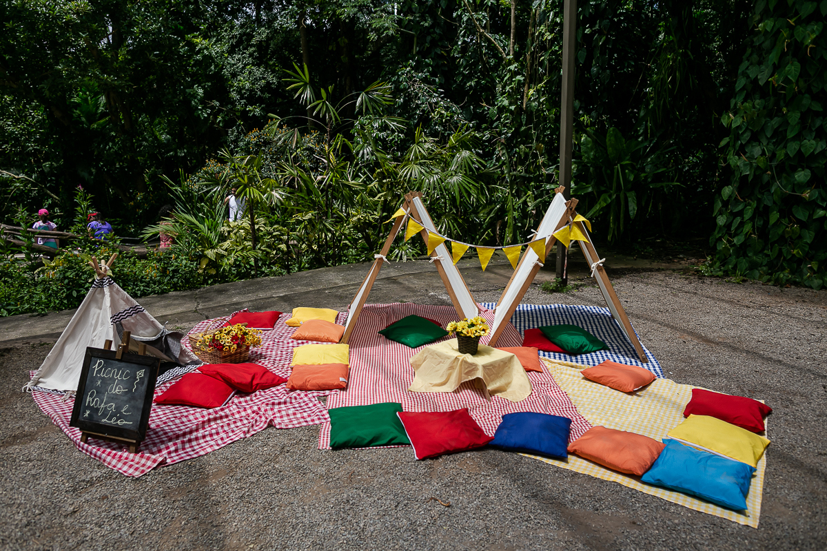 fotografias do aniversário de 4 anos do leonardo e 2 anos do rafael com tema os 3 porquinhos no parque burle marx em sao paulo sp