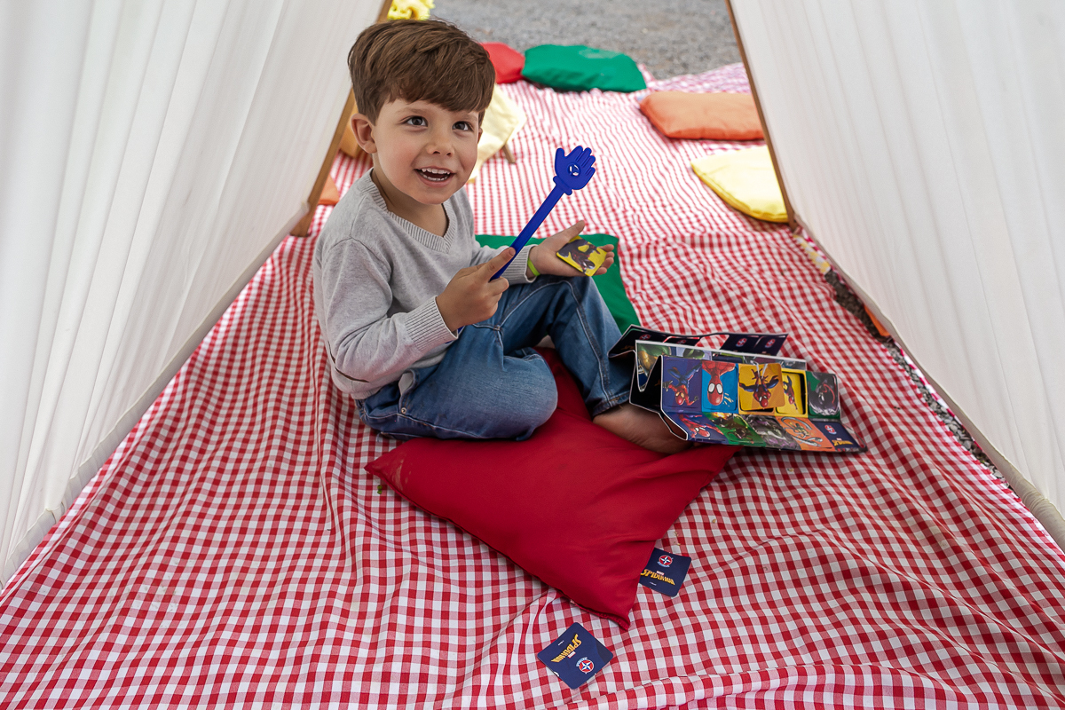fotografias do aniversário de 4 anos do leonardo e 2 anos do rafael com tema os 3 porquinhos no parque burle marx em sao paulo sp