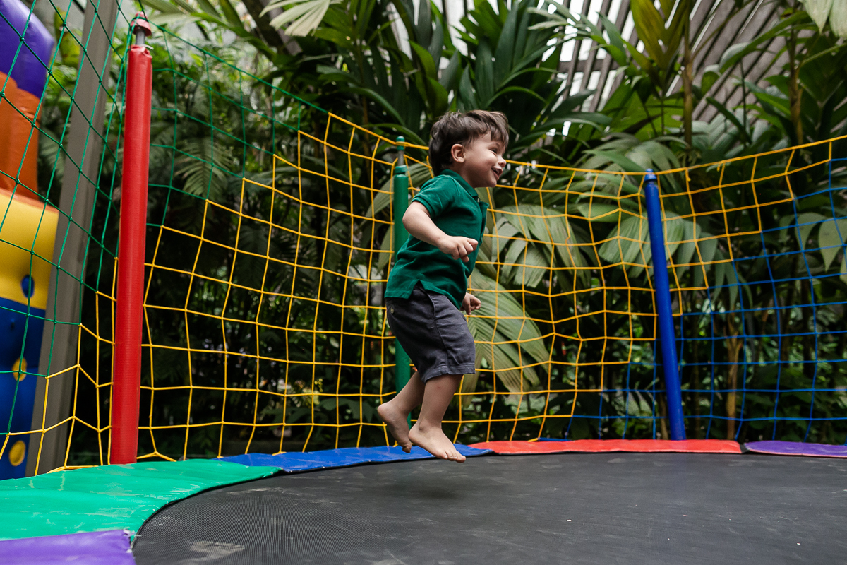 fotografias do aniversário de 4 anos do leonardo e 2 anos do rafael com tema os 3 porquinhos no parque burle marx em sao paulo sp