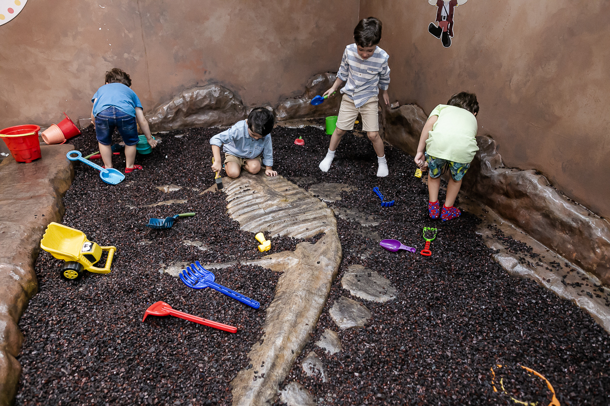 fotografias do aniversário de 5 anos do alexandre no buffet miniland unidade vila olimpia com o tema dinossauros