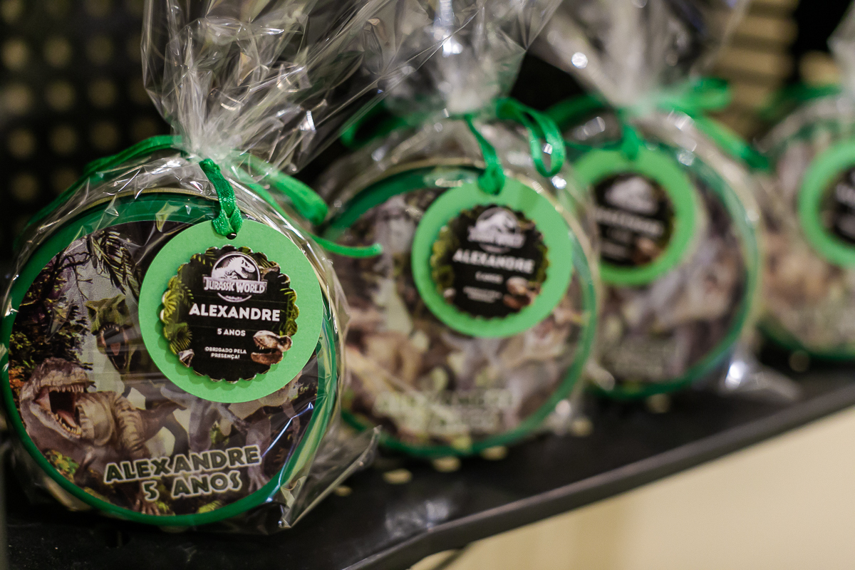 fotografias do aniversário de 5 anos do alexandre no buffet miniland unidade vila olimpia com o tema dinossauros