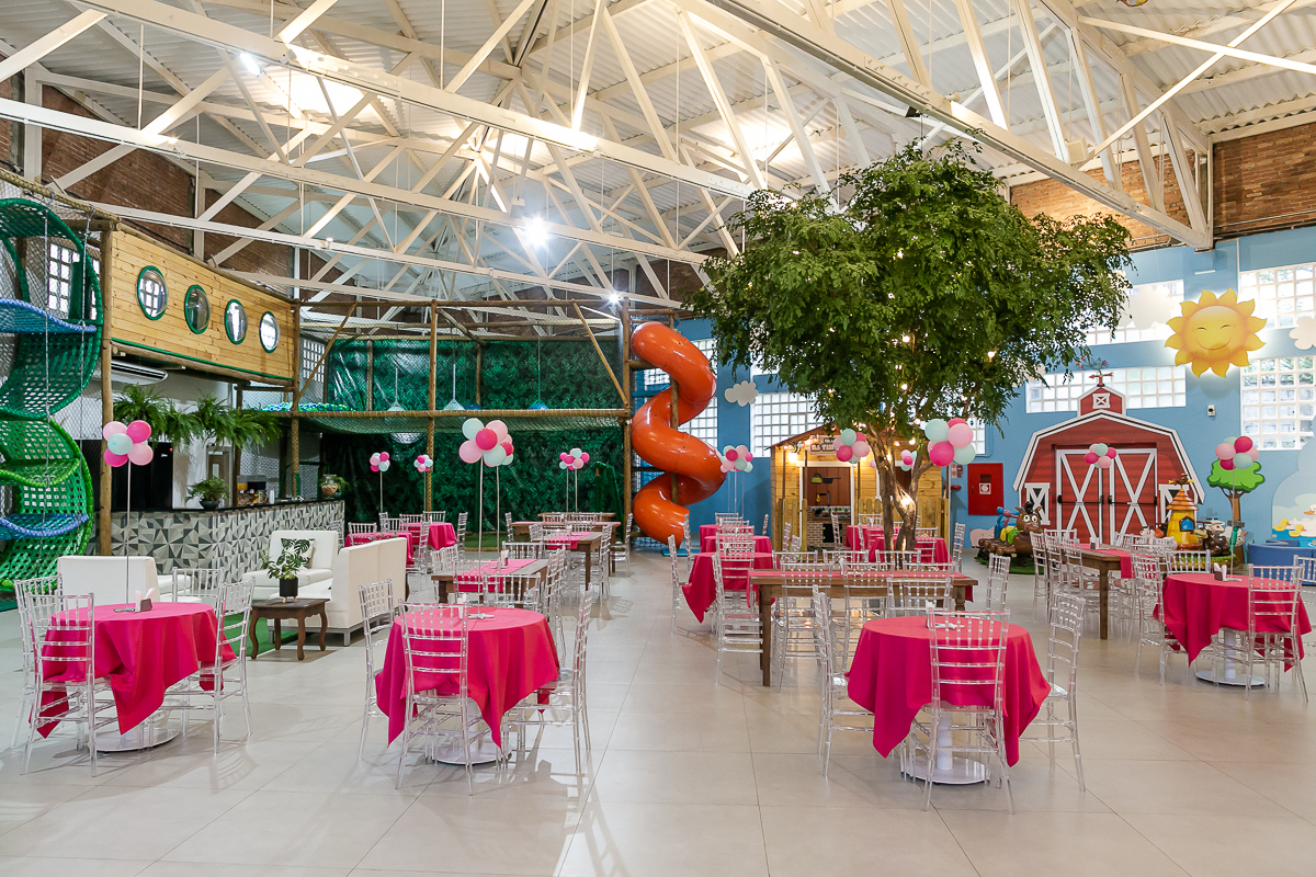 fotografias do aniversário de 3 anos da maria luisa que aconteceu no buffet ra tim boom na vila leopoldina zona sul sao paulo sp