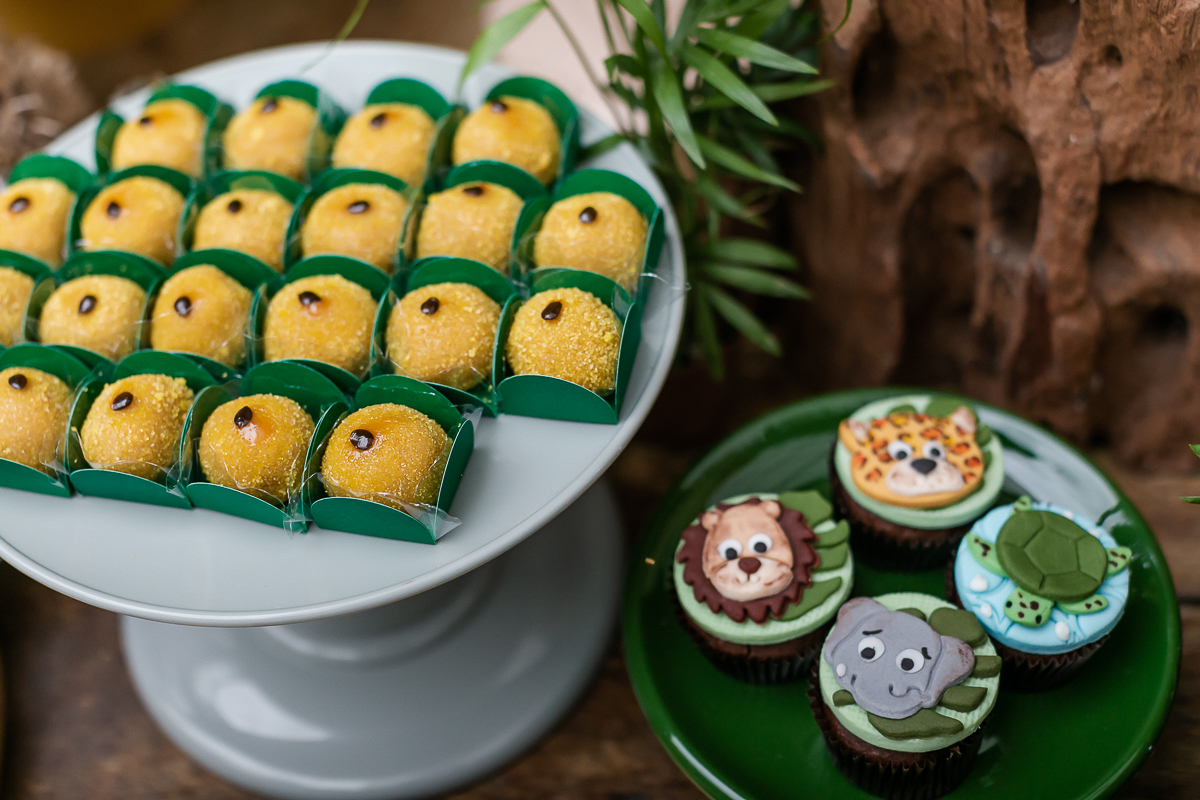 fotografias do aniversário de 4 anos do benjamin e do daniel com o tema safari que aconteceu lá no buffet espaço tragaluz na vila olimpia zona sul sao paulo sp