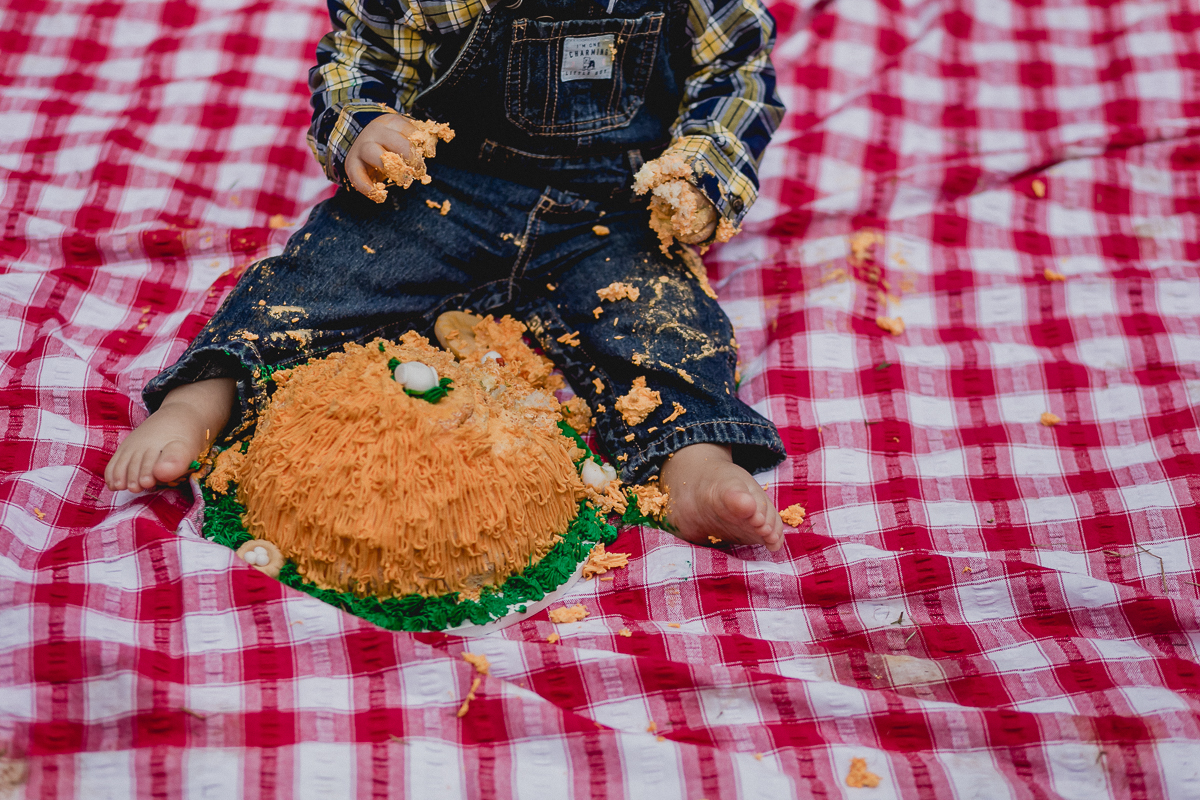 detalhes do bolo destruido