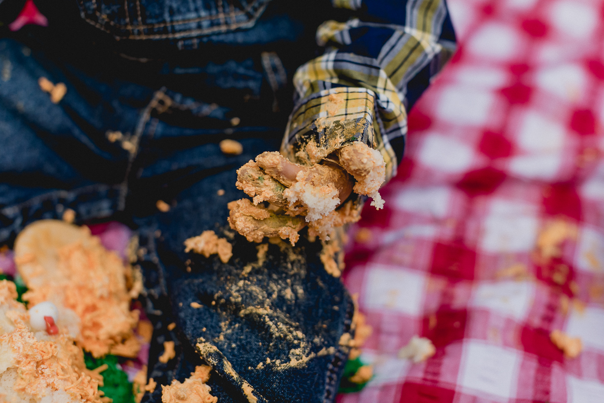 detalhes da mão cheia de bolo no smash the cake