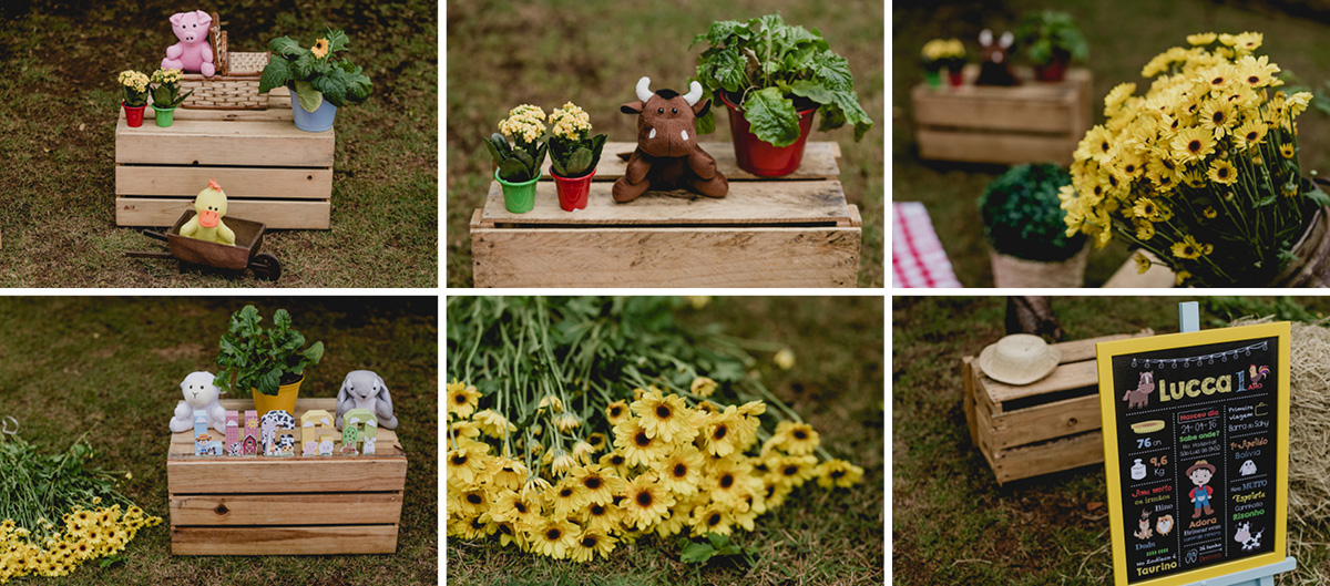 detalhes da decoração do smash the cake com o tema fazenda