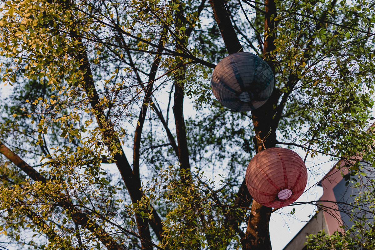 arvore na frente do buffet miniland tree em pinheiros sp