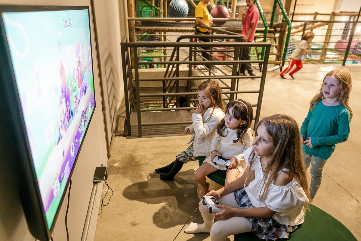 fotografias do aniversário de 5 anos da Helena com o tema como treinar seu dragão no buffet estação diversão em alphaville são paulo sp