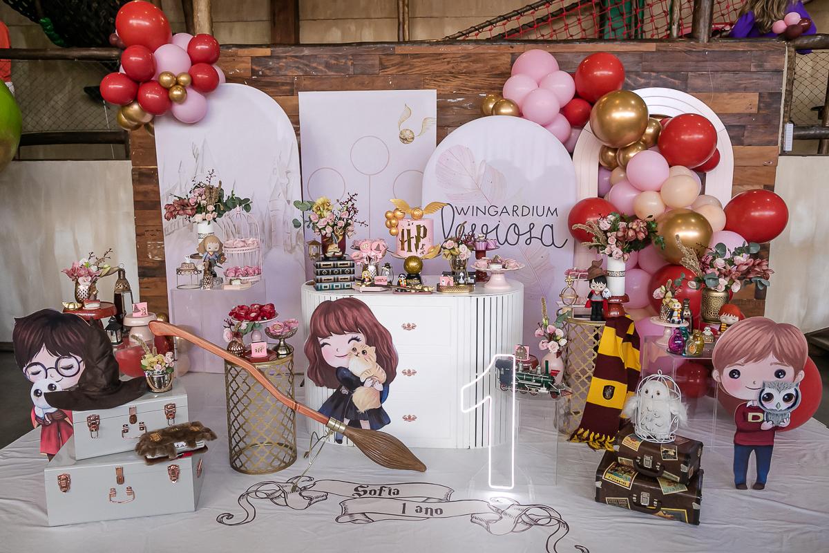 fotografias do aniversário de 1 ano da Sofia com o tema Harry Potter no buffet espaço zoe no tatuapé zona leste são paulo sp