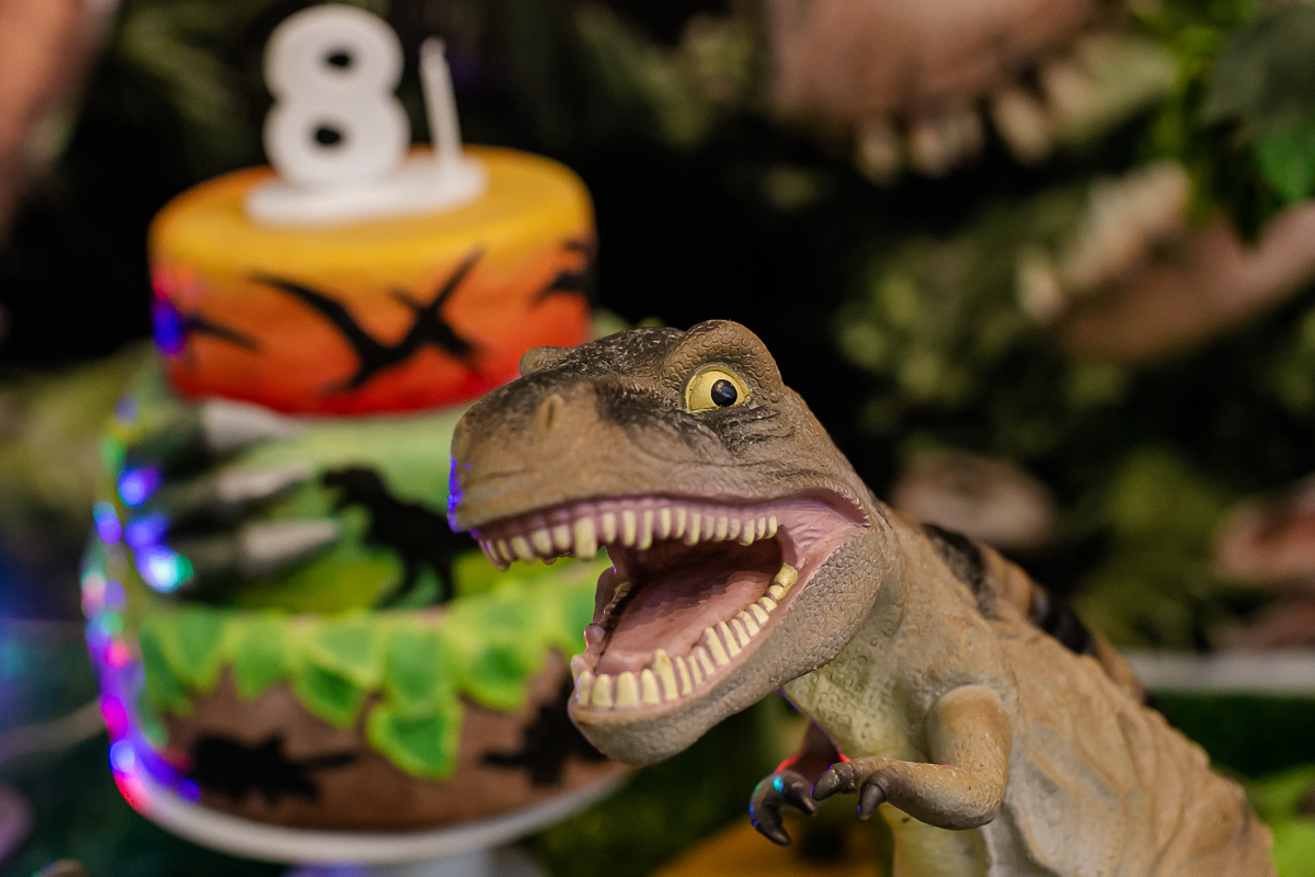 fotografias do aniversário de 8 anos do Eduardo com o tema dinossauros no buffet vila da festa no campo belo zona sul sao paulo sp