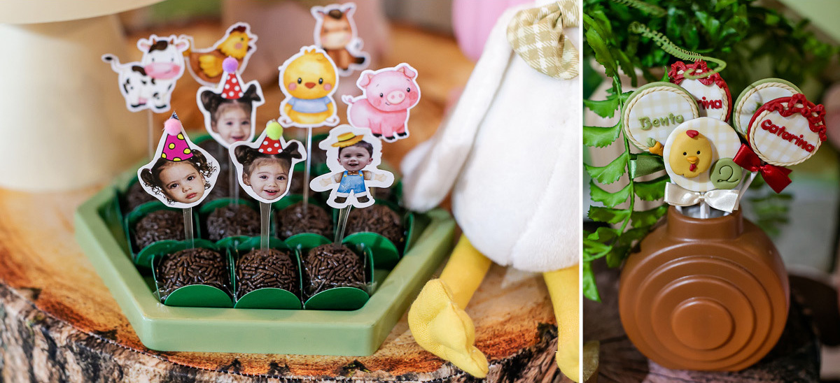 fotografias do aniversário de 2 anos do bento e da catarina no buffet ateliê da vila na vila cruzeiro morumbi zona sul sao paulo sp