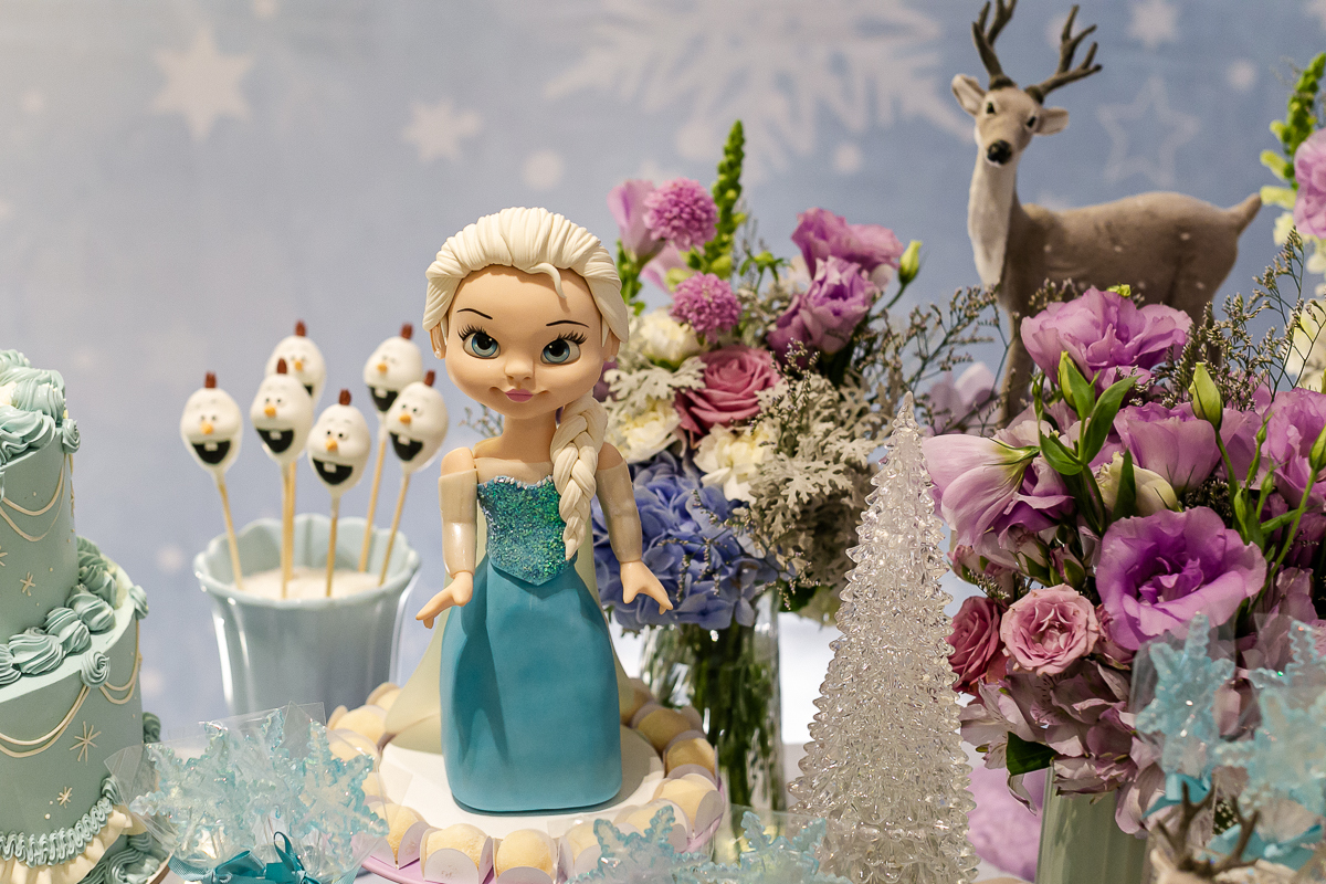 fotografias do aniversário de 4 anos da Alice no salão de festas do condominio no panamby morumbi zona sul sao paulo sp