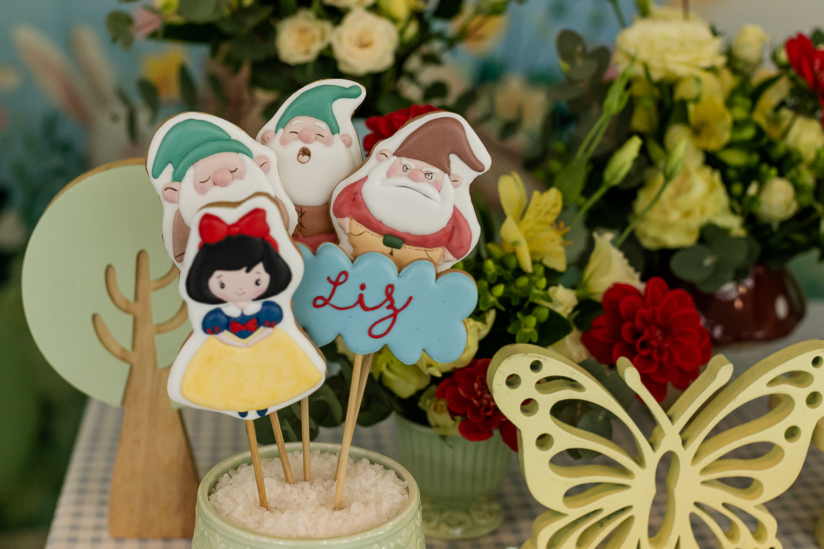 fotografias do aniversário de 4 anos da Liz com o tema branca de neve no condominio no brooklin zona sul sao paulo sp