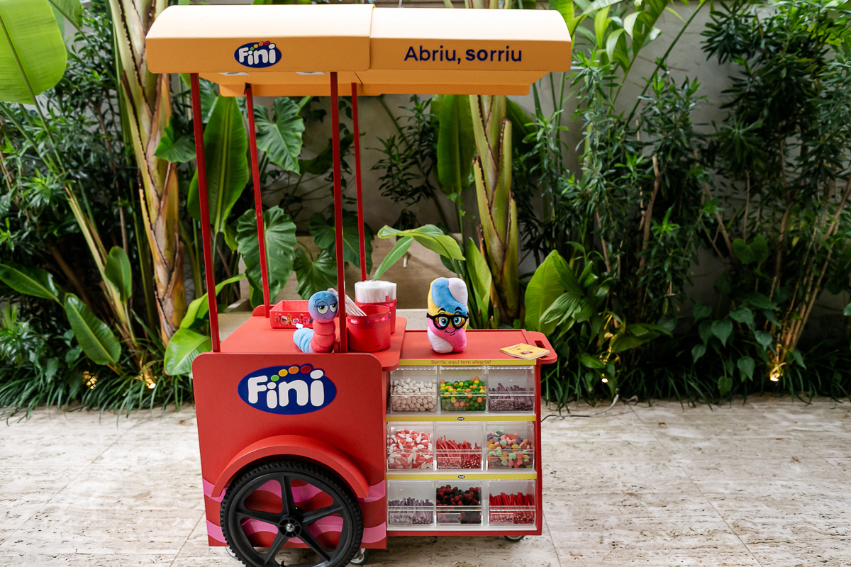 fotografias do aniversário de 11 anos do josé henrique no quintal de casa em são paulo sp