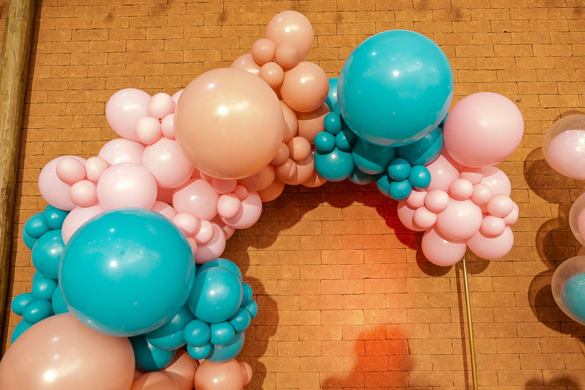 fotografias do aniversário de 5 anos da alice com o tema patrulha canina no buffet terralegria no bairro indianopolis zona sul sao paulo sp