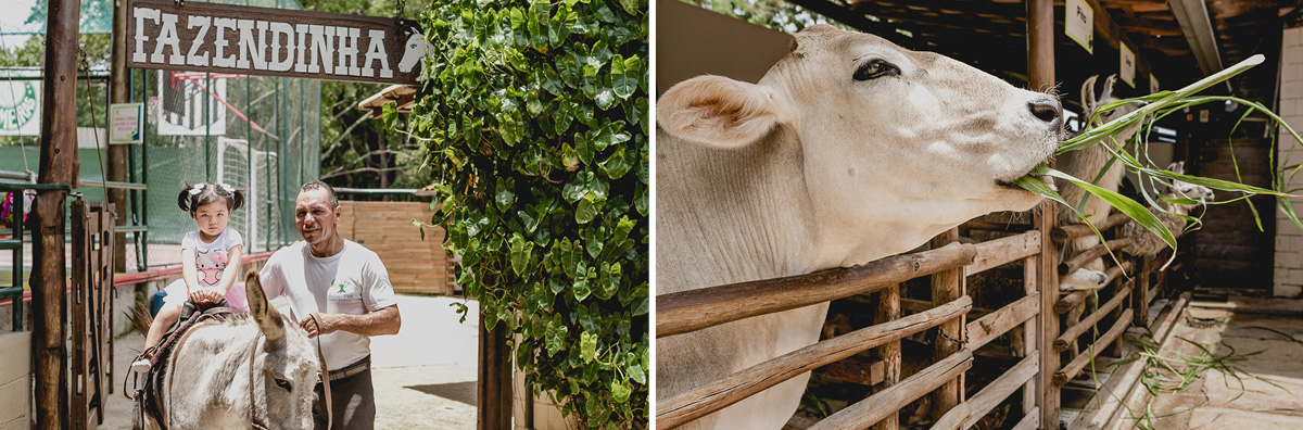 passeando de cavalinho no buffet adventree