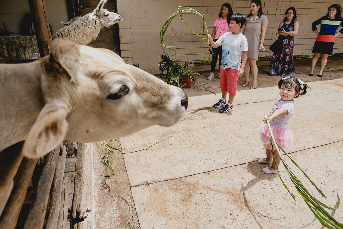 dando comida para o boy