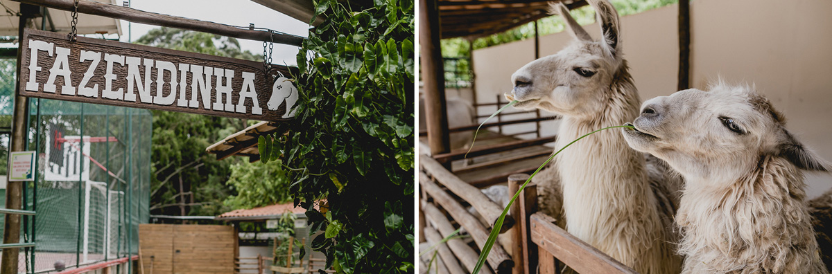 fazendinha do buffet Adventree em sao caetano do sul