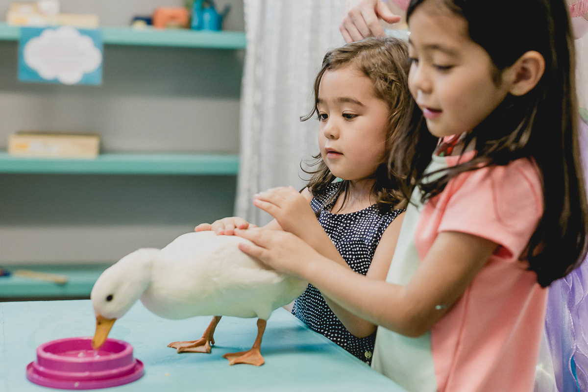 brincando com o patinho da caramelo estrelinha no show