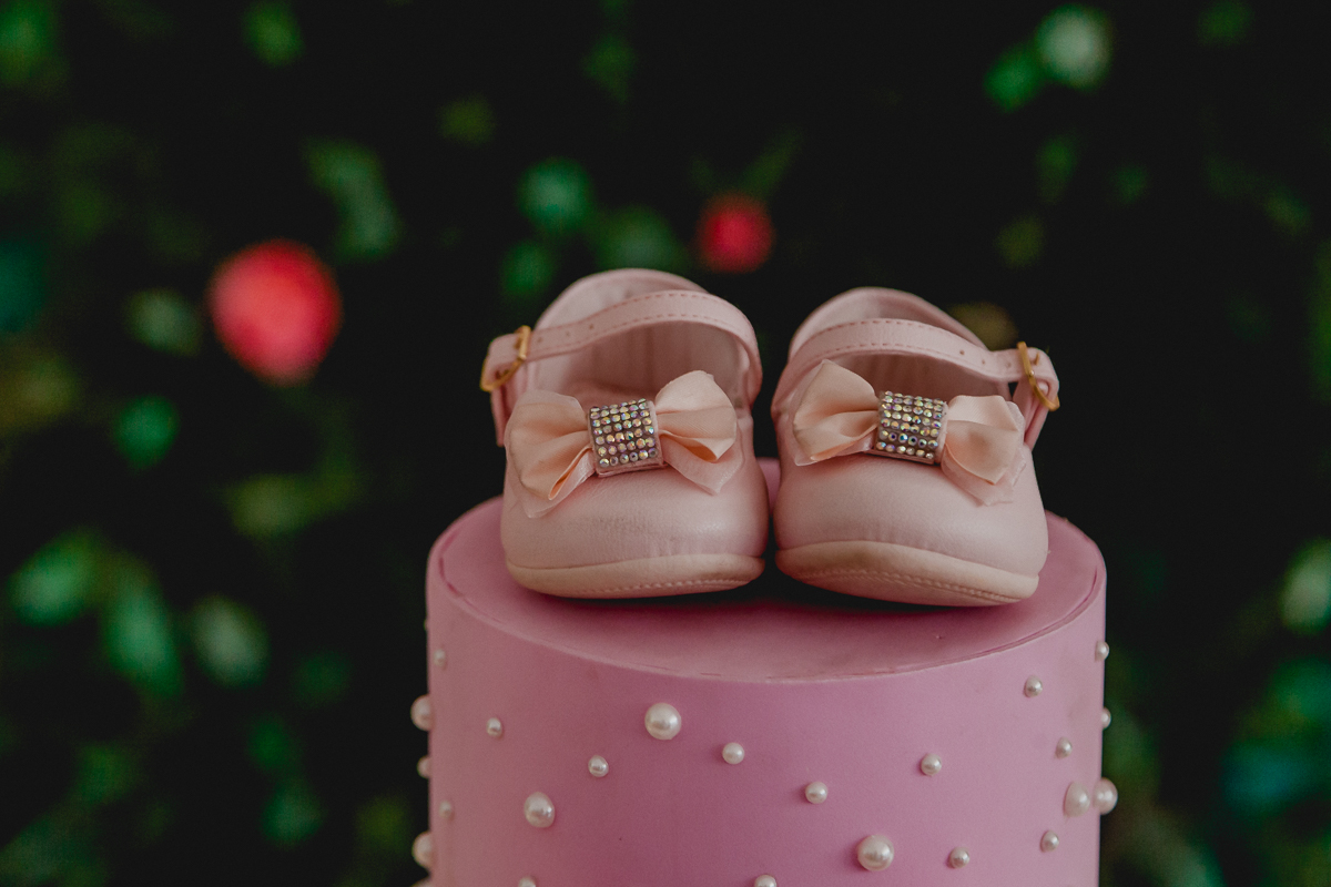 fotografo para festa infantil, fotografo para festa infantil sp, fotografo para festa de criança sp, fotografia de festa infantil, fotografia de festa infantil sp, foto infantil, foto infantil sp, fotografias de familia, fotos de familia, foto de f