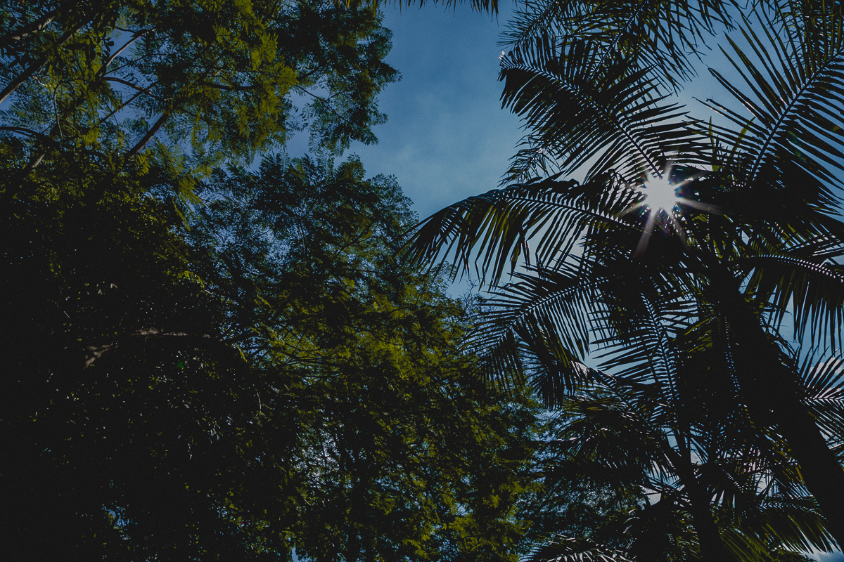 fotografo para festa infantil, fotografo para festa infantil sp, fotografo festa infantil zona sul, fotografia de festa infantil, fotografias de festa infantil zona sul, fotografias de festa infantil em sp, foto infantil, aniversario infantil, fotografo d