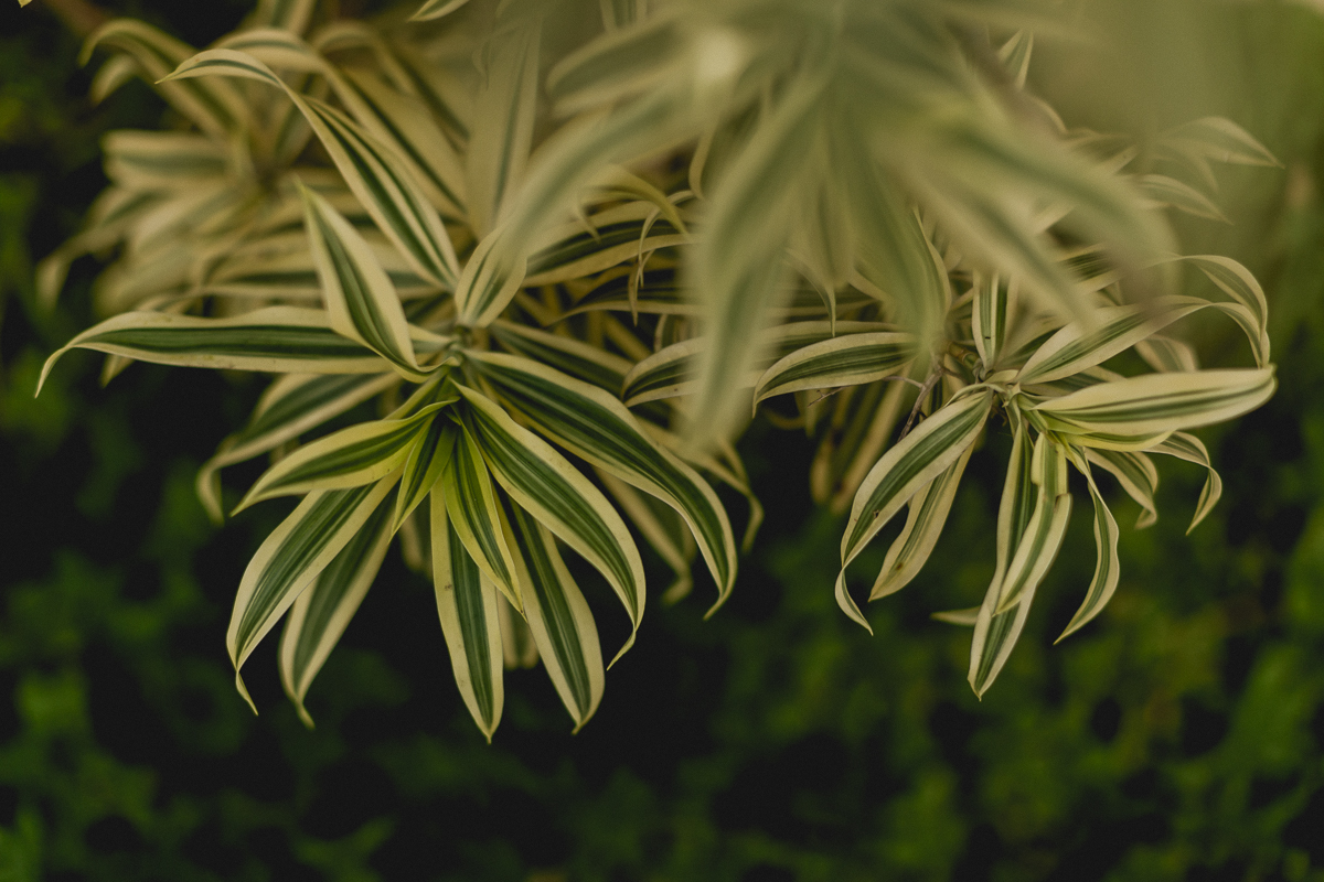 fotografo para festa infantil sp, fotografo para festa infantil, fotografo de festa infantil, fotografo de aniversario infantil, fotografo de crianças, foto de crianças, aniversário infantil, festa de criança, festa de menina, 