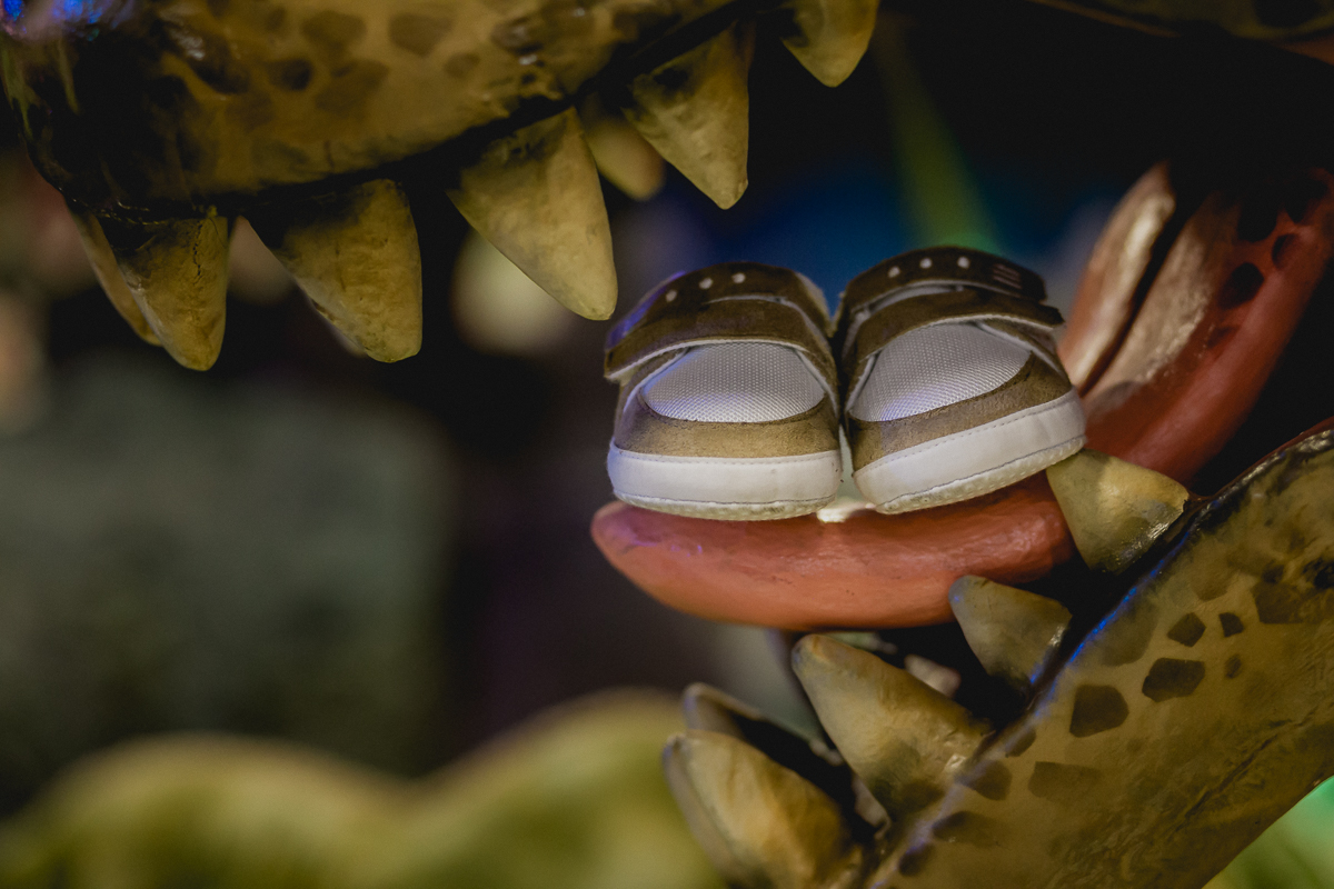 fotografo para festa infantil sp, fotografo de aniversario infantil sp, foto infantil sp, fotografo de festa de criança em sp, fotografia infantil, festa infantil, aniversario infantil, rafael mirra fotografia, rafael mirra, buffet for fun, for fun