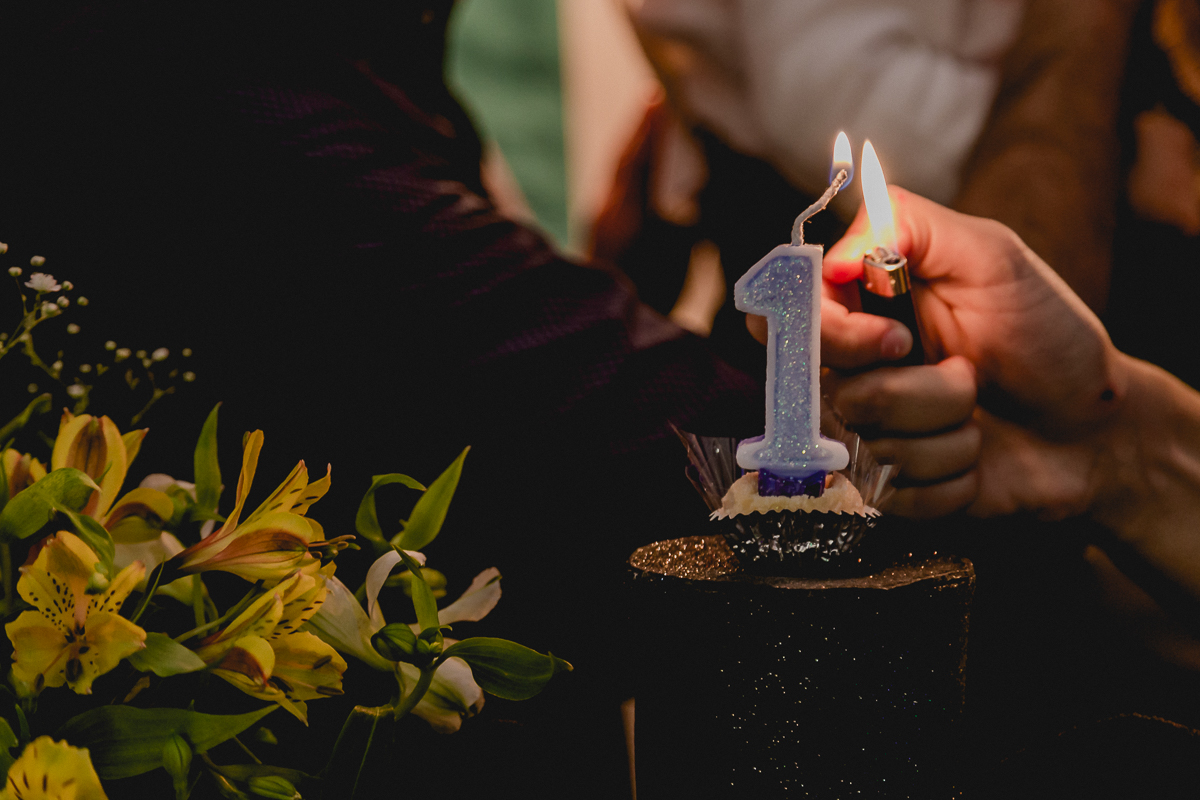 fotografo para festa infantil sp, fotografo de festa infantil em sao paulo, fotografo de aniversario infantil sp, fotografo para festa infantil zona sul sp, fotografo festa infantil zona sul, fotografias de festa infantil, fotografias de familia, fotos de