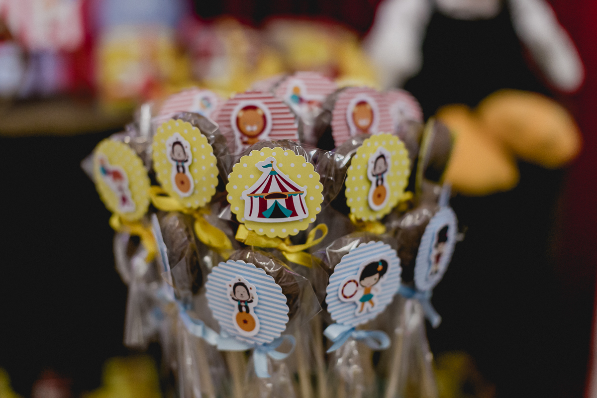 fotografo para festa infantil sp, fotografo de festa infantil em sao paulo, fotografo de aniversario infantil sp, fotografo para festa infantil zona sul sp, fotografo festa infantil zona sul, fotografias de festa infantil, fotografias de familia, fotos de