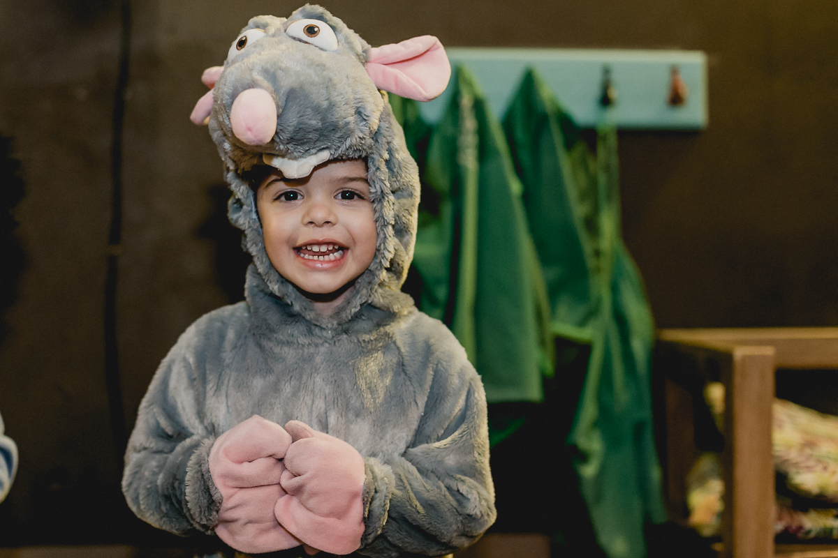 Andre vestido de ratinho ratatouie