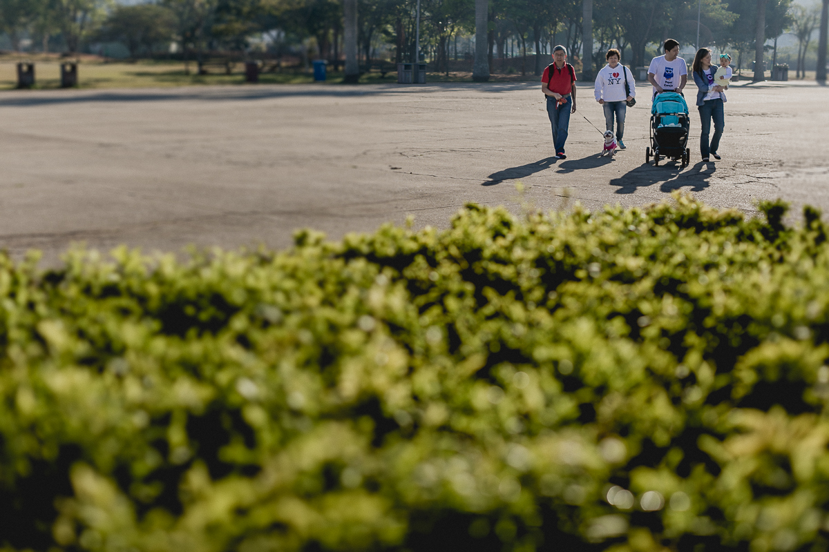 passeando com a família, papai, mamãe e avós