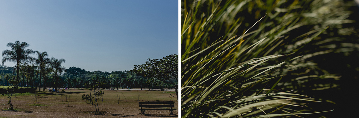 Ensaio de Família da Emy Parque Villa Lobos - SP