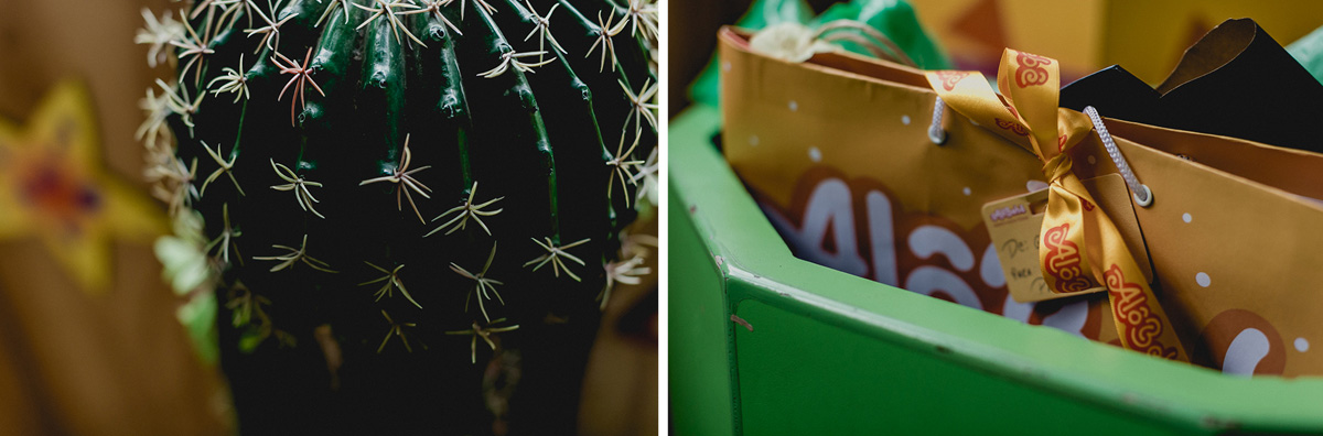 cacto e presentes no final da festa