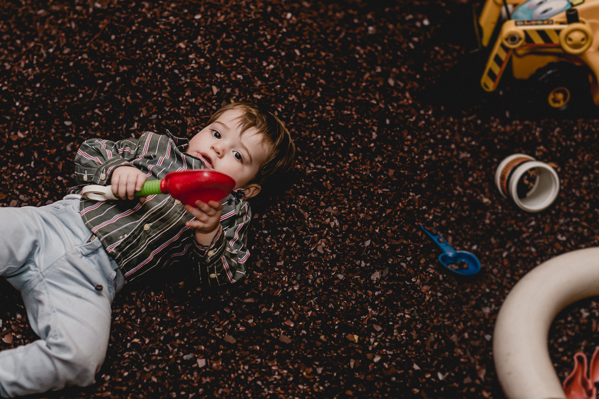 amiguinho deitado na serragem